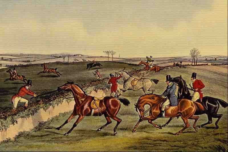 524086 To The Craners Of England Henry Alken A4 Photo Print