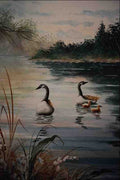 620003 Geese On Pond A4 Photo Print