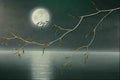 620006 Moon Over Lake A4 Photo Print