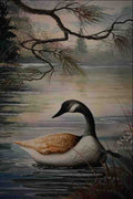 620009 Canada Goose A4 Photo Print