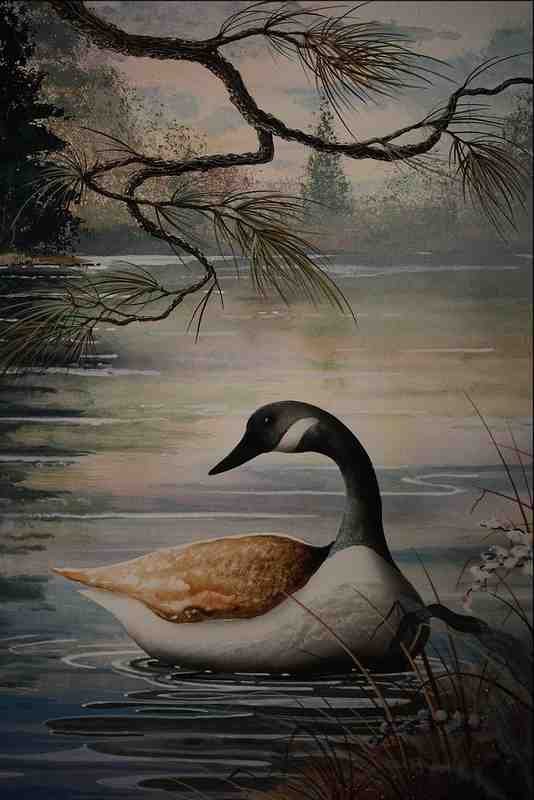 620009 Canada Goose A4 Photo Print