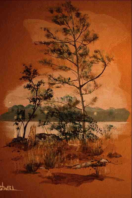 620013 Trees Near Pond A4 Photo Print