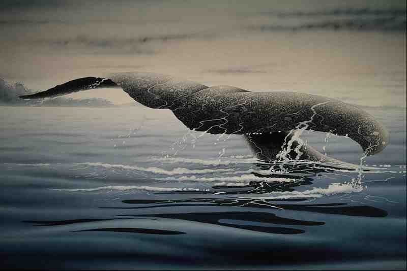 620020 Whale Tail A4 Photo Print