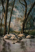620066 Forest Reflections A4 Photo Print
