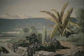 620067 Tropical Shore A4 Photo Print