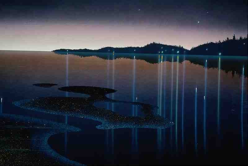 620097 Harbor At Night A4 Photo Print