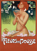 Metlicovitz Leopoldo 1868 1944 Poster Fleurs de Mousse A4 Photo Print