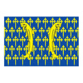 Meuse Dep Flag N2966 A4 Photo Print