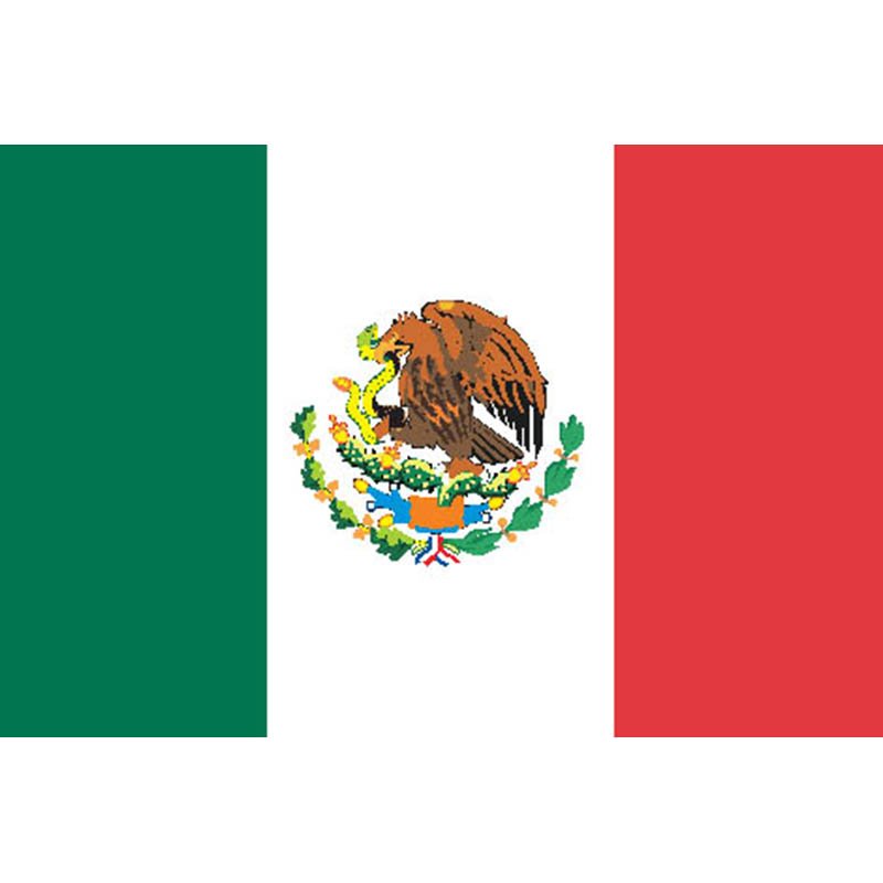 Mexico Flag N1821 A4 Photo Print