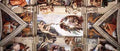 Michelangelo Ceiling of the Sistine Chapel detail1  A4 Photo Print