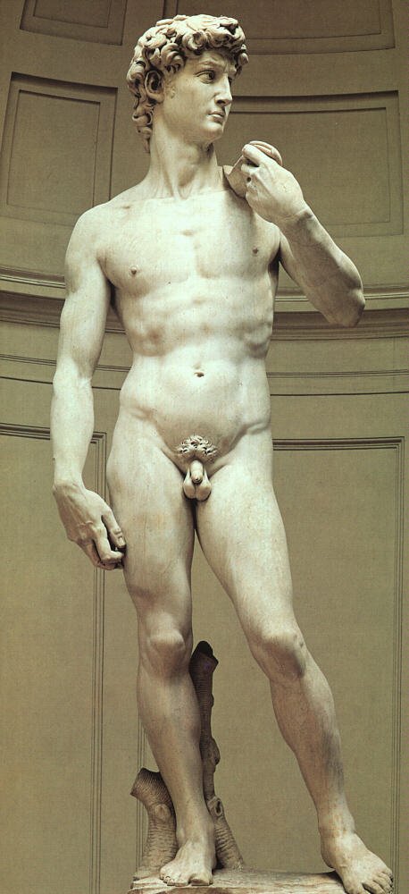 Michelangelo David Art A4 Photo Print