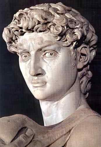 Michelangelo David head detail  A4 Photo Print