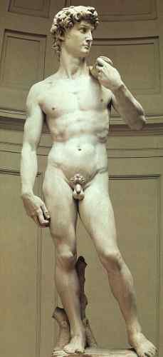 Michelangelo David  A4 Photo Print