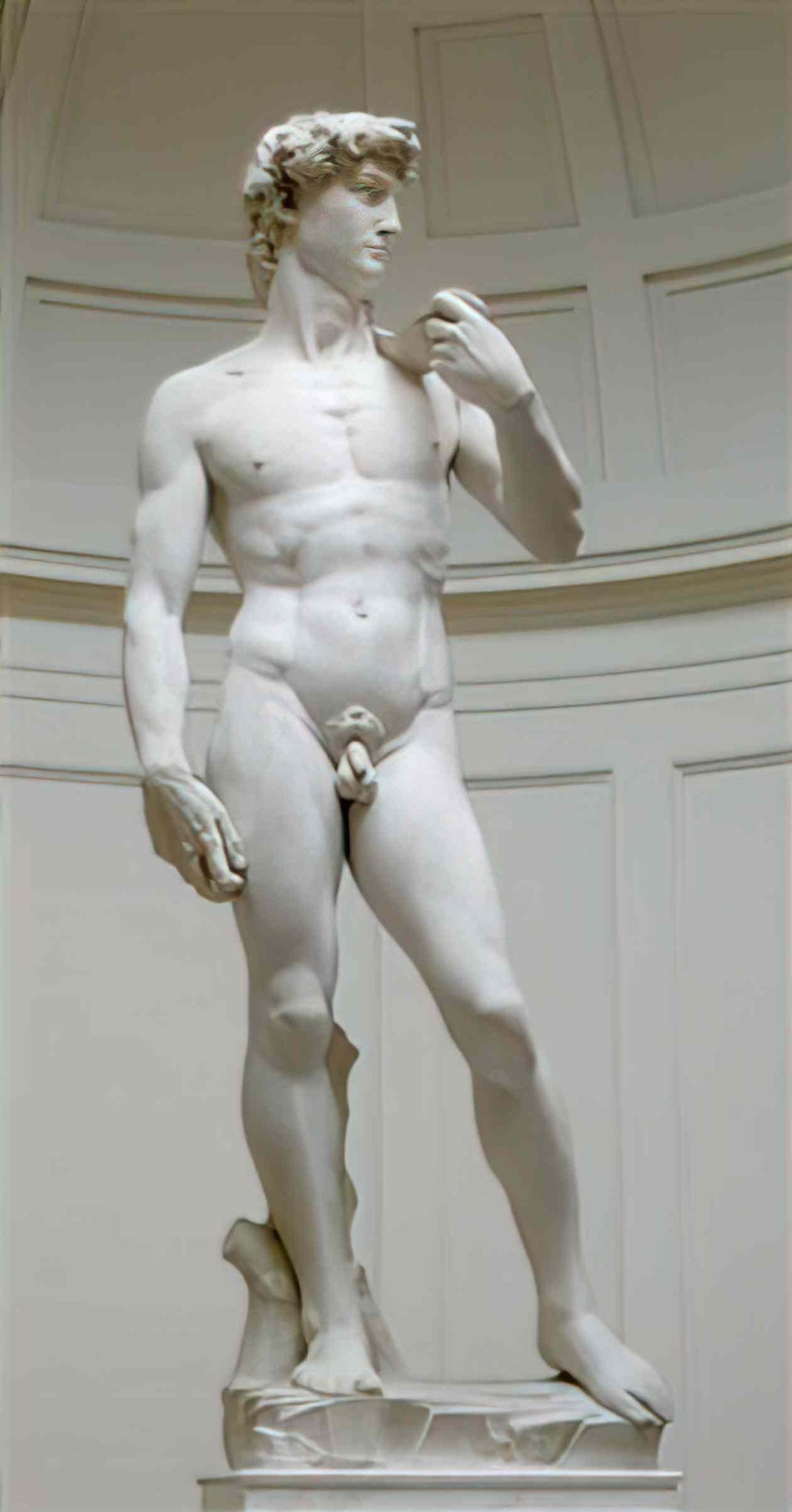 Michelangelo david 1504 Art A4 Photo Print