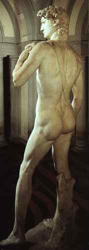 Michelangelo michela3  A4 Photo Print