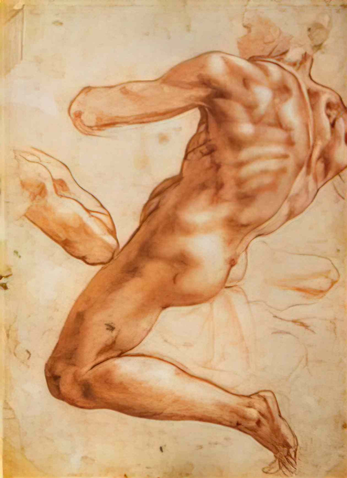Michelangelo study for an ignudo Art A4 Photo Print