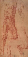 Michelangelo study for haman Art A4 Photo Print