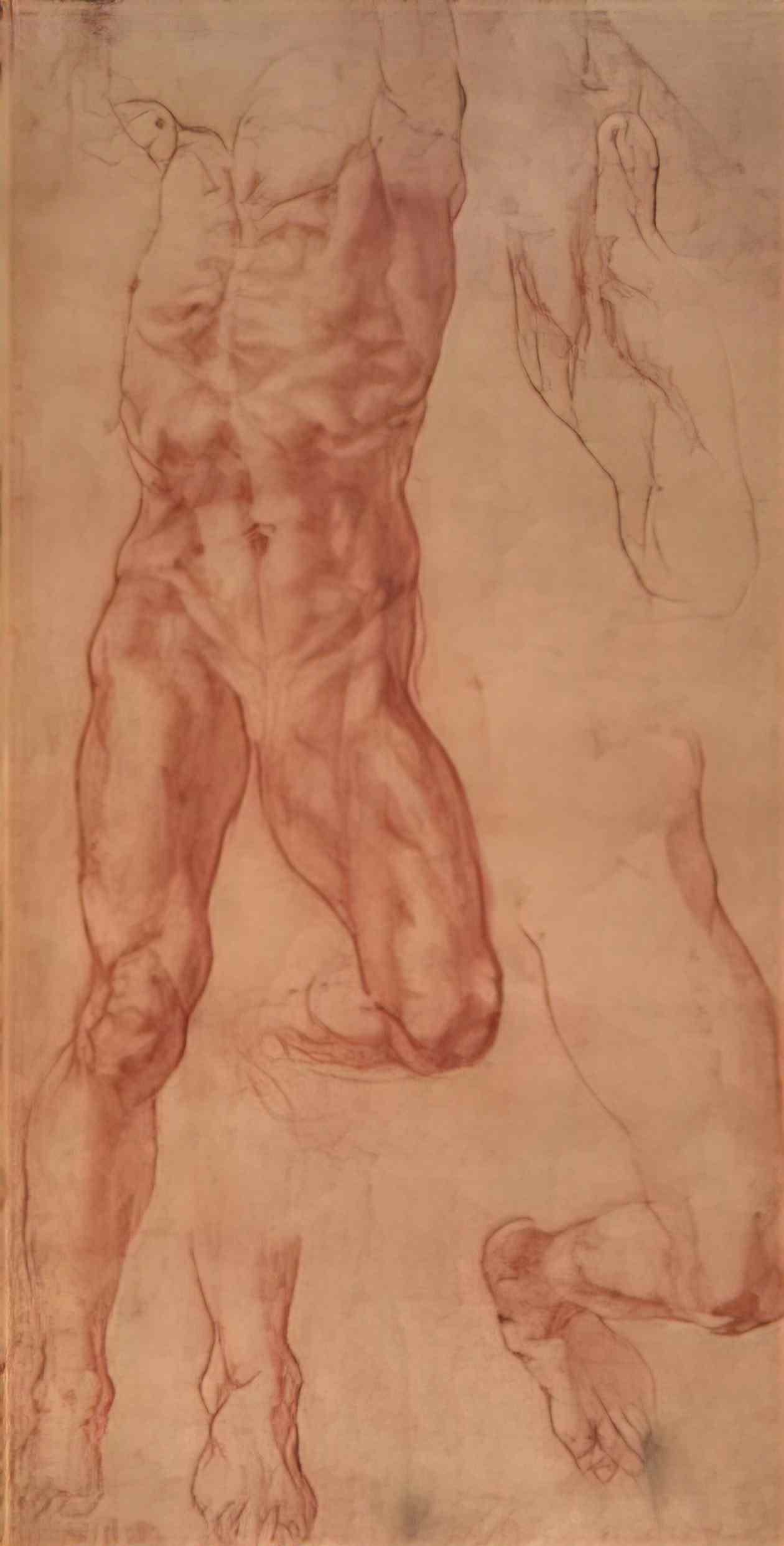 Michelangelo study for haman Art A4 Photo Print