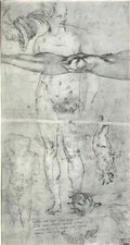 Michelangelo various studies Art A4 Photo Print
