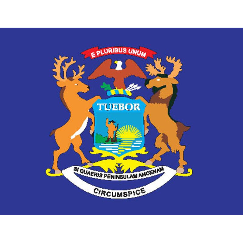 Michigan Flag N2609 A4 Photo Print