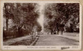 Middlesex 12009 Vintage A4 Photo Print