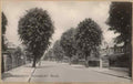 Middlesex 12777 Vintage A4 Photo Print