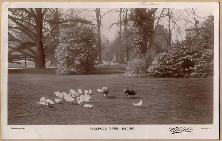 Middlesex 18655 Vintage A4 Photo Print