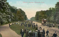 Middlesex Hampton Court Chestnut Avenue 1900s Vintage A4 Photo Print