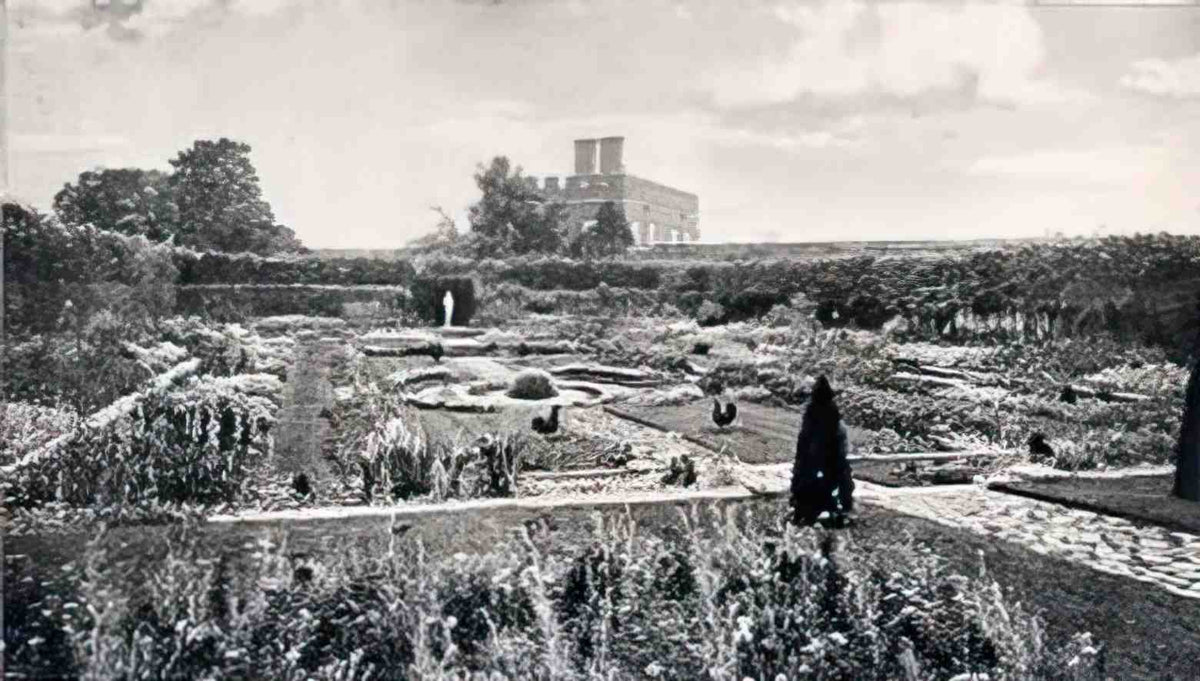 Middlesex Hampton Court Palace Dutch Garden Vintage A4 Photo Print
