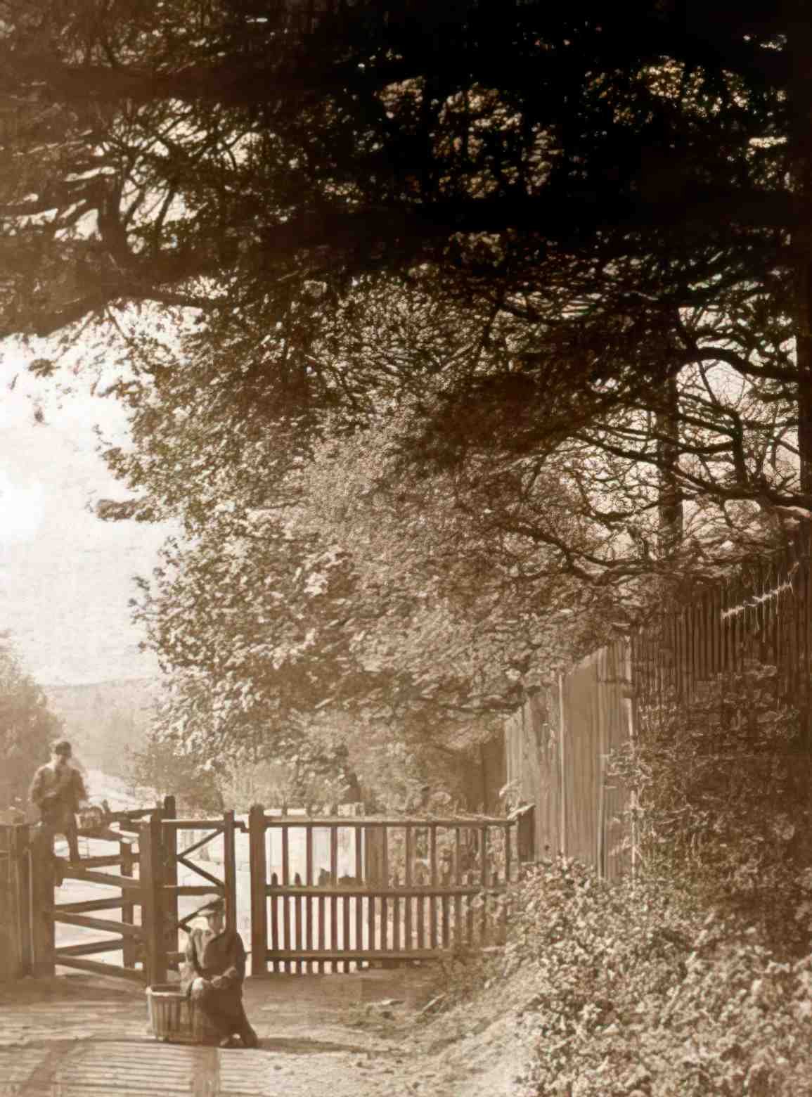 Middlesex Harrow The Gate up Church Hill Vintage A4 Photo Print