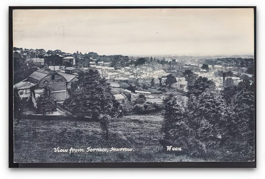 Middlesex Harrow View From Terrace Across Houses Vintage A4 Photo Print
