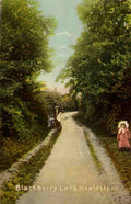 Middlesex Wealdstone Blackberry Lane Vintage A4 Photo Print
