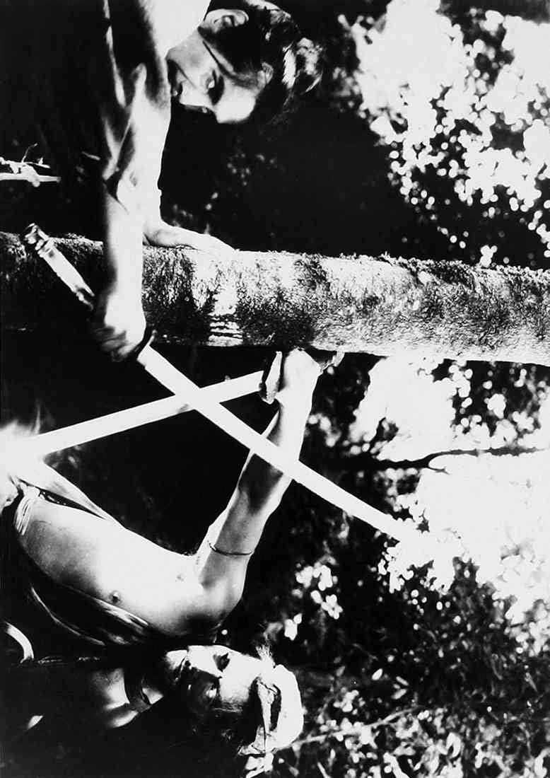 Mifune Toshiro Rashomon z1 A4 Photo Print