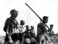 Mifune Toshiro Seven Samurai z1 film star poster A4 Photo Print