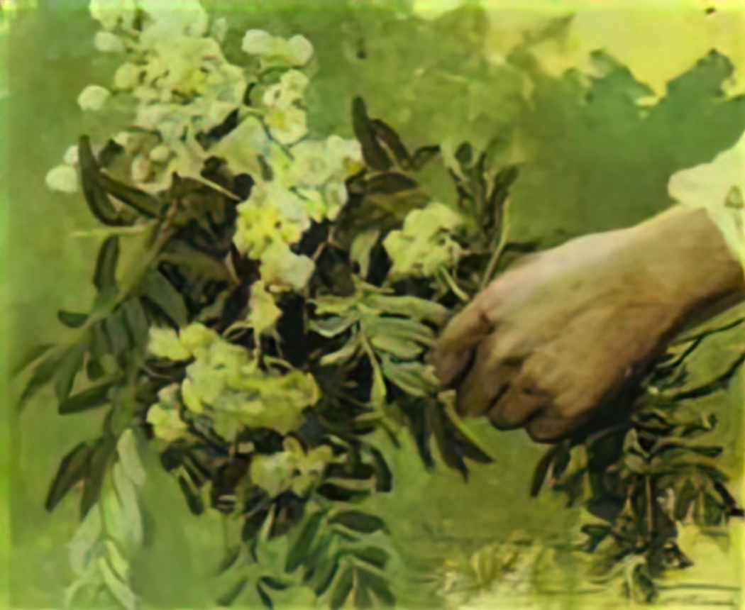 Mikhail Nesterov a hand with flowers Art A4 Photo Print
