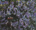Mikhail Vrubel lilacs 1900 Art A4 Photo Print