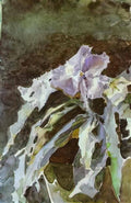 Mikhail Vrubel orchid Art A4 Photo Print