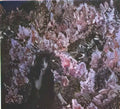 Mikhail Vrubel the lilacs 1900 Art A4 Photo Print