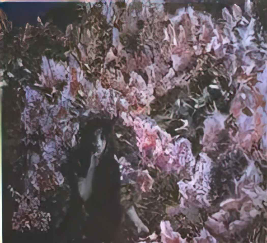 Mikhail Vrubel the lilacs 1900 Art A4 Photo Print