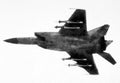 Mikoyan Gurevich Mig25 Foxbat 12 A4 Photo Print