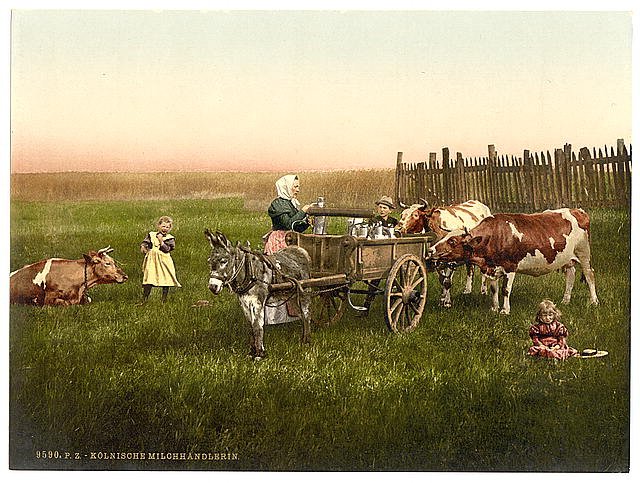 Milksellers Cologne the Rhine Vintage A4 Photo Print