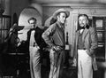 Mill& Ray California z3 film star poster A4 Photo Print