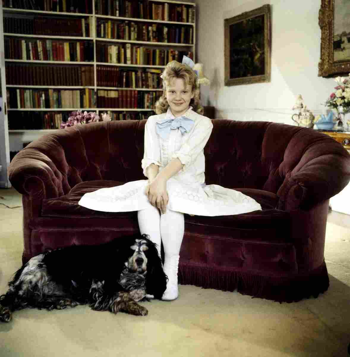 Mills Hayley Pollyanna 3 film star poster A4 Photo Print