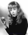 Mills Hayley Whistle Down the Wind 1 film star poster A4 Photo Print