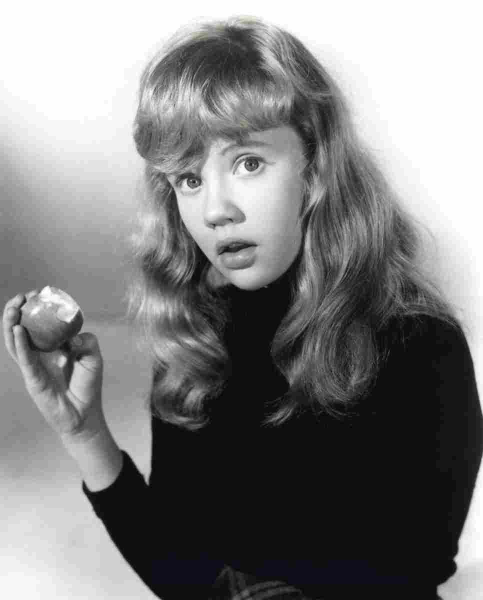 Mills Hayley Whistle Down the Wind 1 film star poster A4 Photo Print