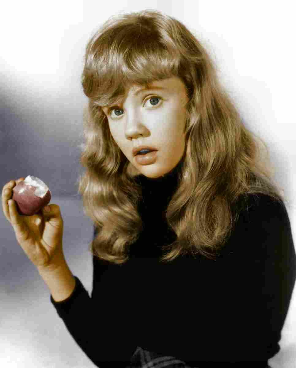 Mills Hayley Whistle Down the Wind 1C film star poster A4 Photo Print