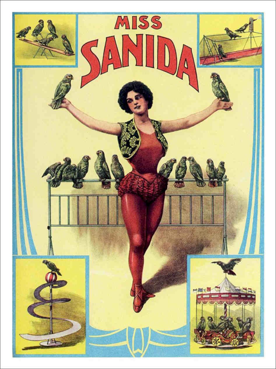 Miss Sanida Circus Poster 1910s Vintage Retro Advert Poster A4 Photo Print