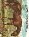 Miss Woodford Horse A4 Photo Print