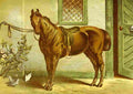 Modern Practical Farriery 1875 The Roadster A4 Photo Print