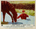 Money From Home 21  film star poster A4 Photo Print
